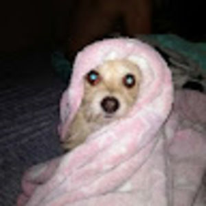 Meet your Posher, Tonya